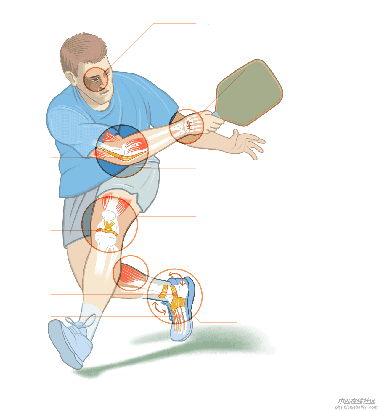 pb-injuries.png