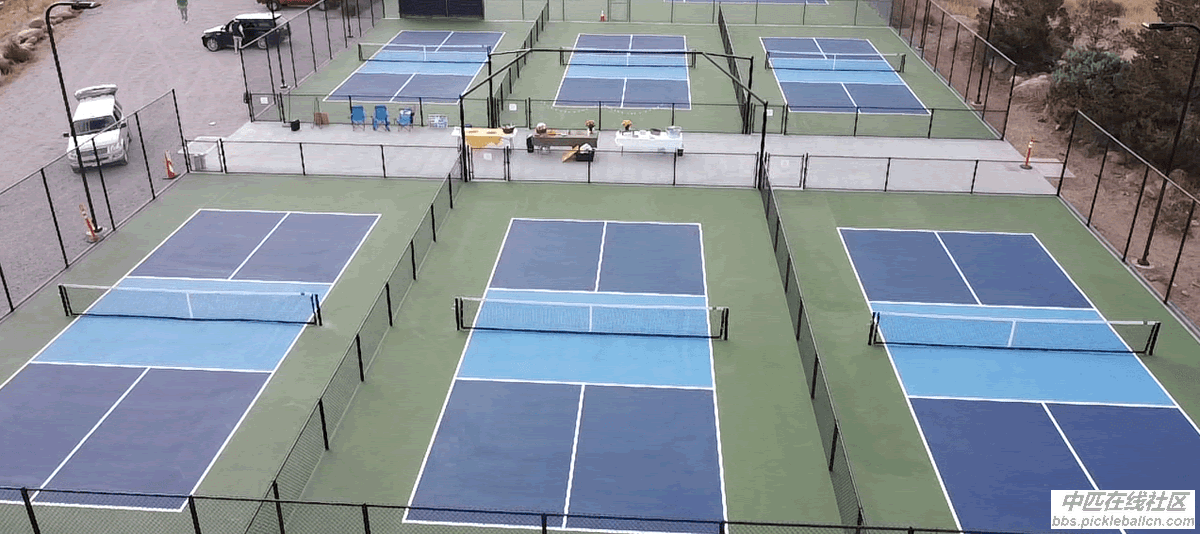 Buena Vista pickleball.png